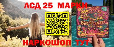 гидра Краснокаменск