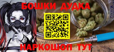гидра Краснокаменск