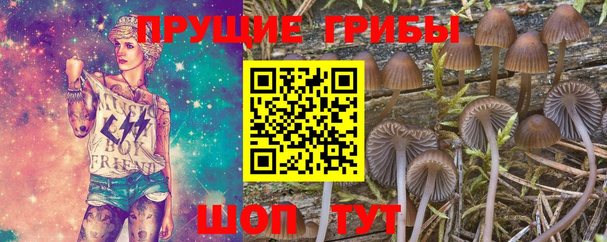Коркино  Галлюциногенные грибы Psilocybine cubensis  Псилоцибиновые грибы MAGIC MUSHROOMS  Вход с VPN 