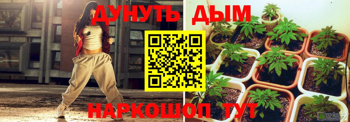 Шишки марихуана план Коркино